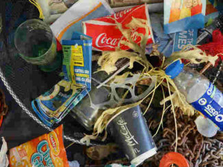 Wegwerfgesellschaft-Plastikmuell-Umweltverschmutzung-Klimawandel-rubbish