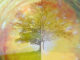 doppelt-Karina-Ramirez-Buch-Cover