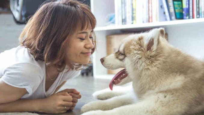 Tier neu begegnen Vergangenheit heilen Frau Hund girl