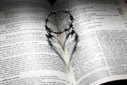 Ist Gott Atheist Buch Bibel Dornenkrone