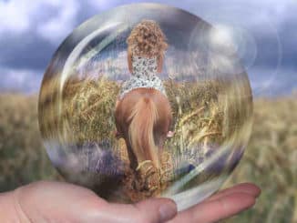 Karma-zwischen-Mensch-und-Tier-horsewoman