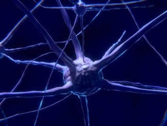 Bewusstseinsreise -nerven-zelle-nerve-cell