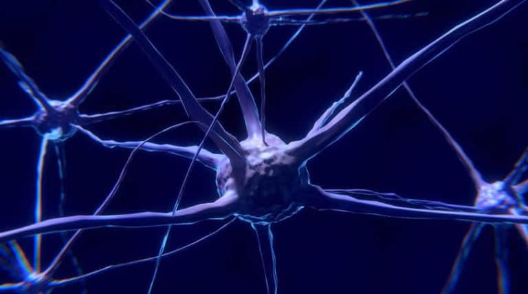 Bewusstseinsreise -nerven-zelle-nerve-cell