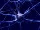 Bewusstseinsreise -nerven-zelle-nerve-cell