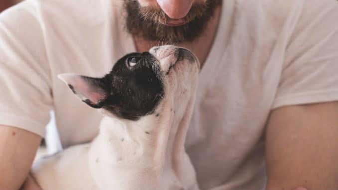 Tierkommunikation-mann-hund-animals