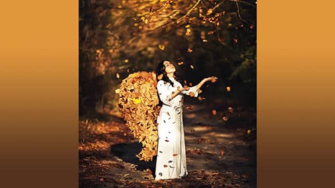 Zapiti-Beitrag-Channeling-Nov