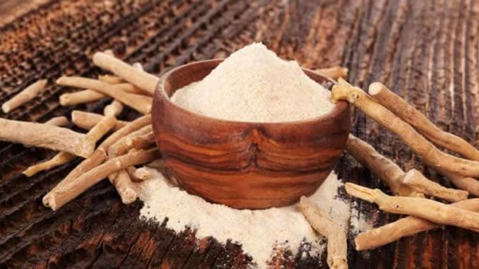 AdobeStock_188483818-Eskymaks-Ashwagandha
