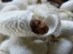 Geburt-neue-Seele-weltenei-cocoon