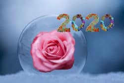 Die Zahl 20 als Jahrhundertzahl-editha-wust-2020-ball