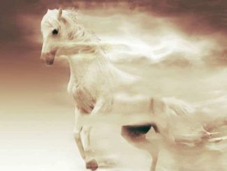 Wind-Goetter-des-Windes-pferd-fantasy-mare