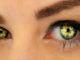grüne leuchtende Augen in Nahaufnahme