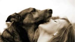 Tiergespräch ohne Meditation Frau schmused mit Hund