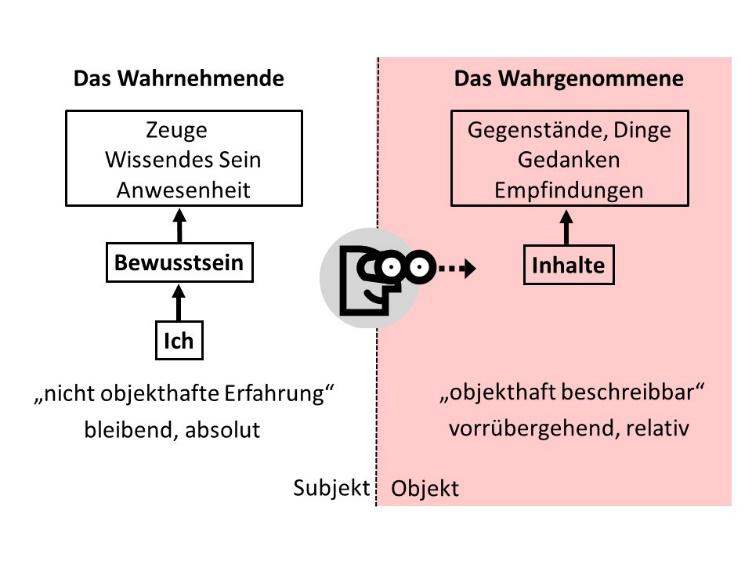 Pfrommer-Artikel-1-Bild1