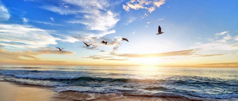 aurum-cordis-sehnsucht-see-moewen-merr-himmel