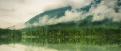 natur-see-nebel-lake