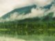 natur-see-nebel-lake