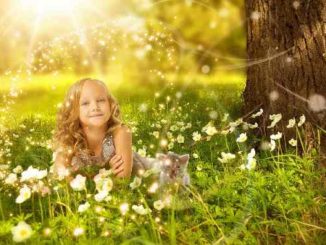 inneres-kind-wiese-sonne-girl