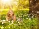 inneres-kind-wiese-sonne-girl