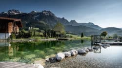 Tun oder Nichts-Tun-petra-neumayer-Naturbadesee