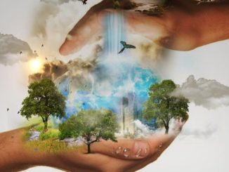 welt-haende-natur-nature-conservation