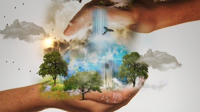 welt-haende-natur-nature-conservation