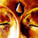 drittes auge gesicht