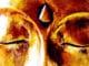 drittes auge gesicht