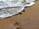 fussspuren im sand am meer