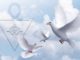 tag der offenen tuer amorc