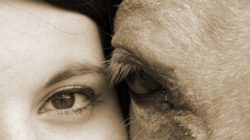 Hellsinne frau und pferdeauge