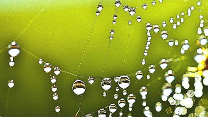 wassertropfen-klar-drops-of-water