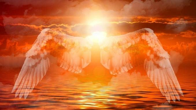gott-engel-fluegel-angel