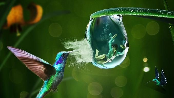 kontrolle Vogel Wasserblase mit Mensch rescue