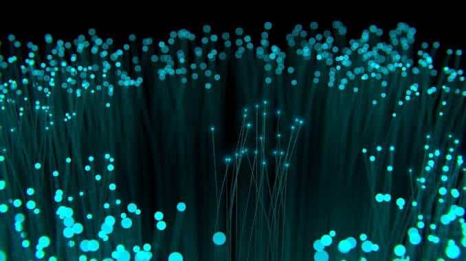 leuchtende-stengel-fibre