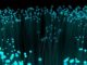 leuchtende-stengel-fibre
