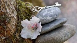 schluessel blume baum stones