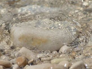 wasser steine fluss mindfulness