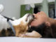 dog-buecher-Hund-kopf