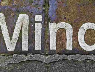 fehler-irrtum-mind