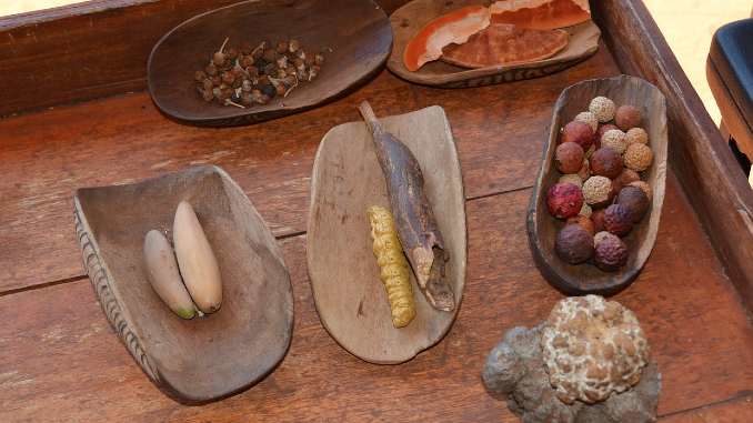 heilkraeuter-aborigines-desert-bush-tucke