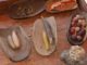 heilkraeuter-aborigines-desert-bush-tucke