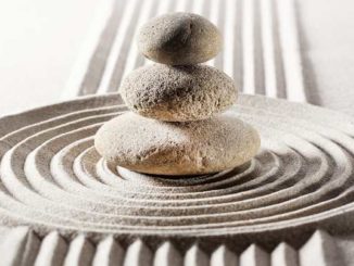 konsilienz-Gleichgewicht-zen