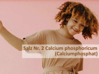 schuessler-salz-Nr-2-maria-lohmann-mankau-verlag