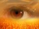 selbsterkenntnis-auge-feld-eye