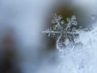 schnee-eis-kristall-snowflake