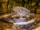 wasser-fontaene-drop