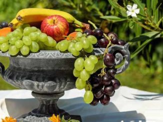 zuckerfrei-obst-fruit-bowl