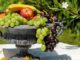 zuckerfrei-obst-fruit-bowl
