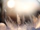 kugel-sonne-soap-bubble