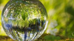 Wie Wahrnehmung Freiheit und Selbstliebe lehrt Bewusstsein Welten